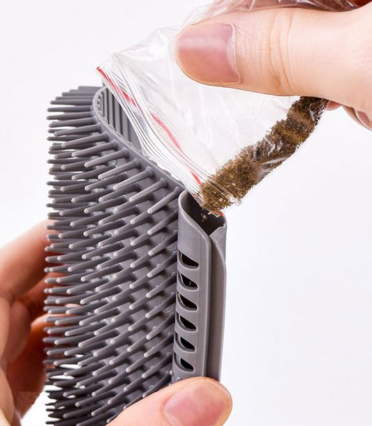 Sieninės šukos su katžole