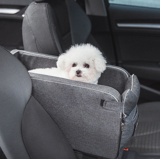 Automobilinė kėdė augintiniui