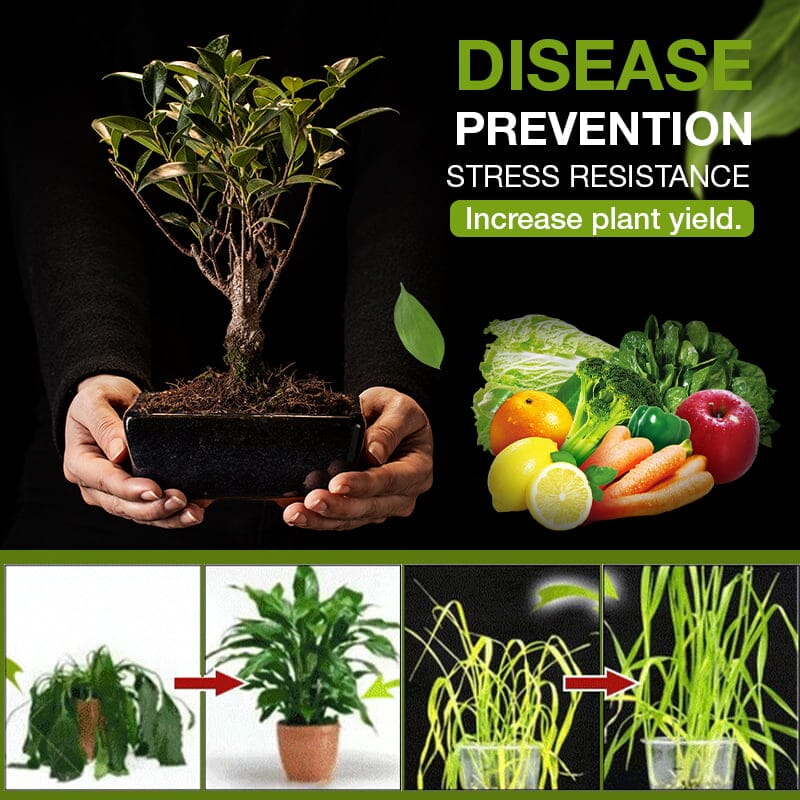 Augalų augimo aktyvatorius