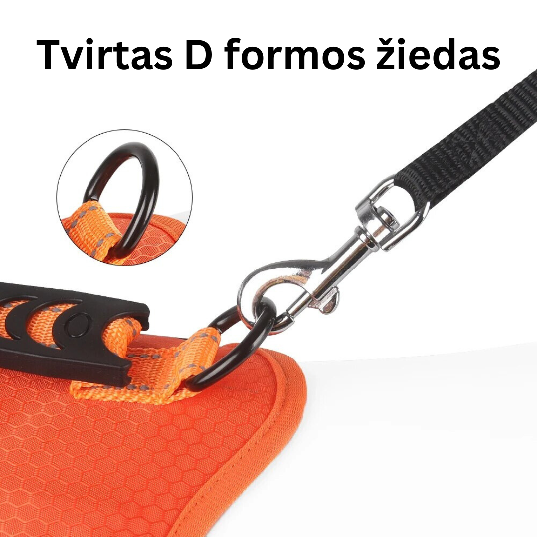 Petnešos šuniukams