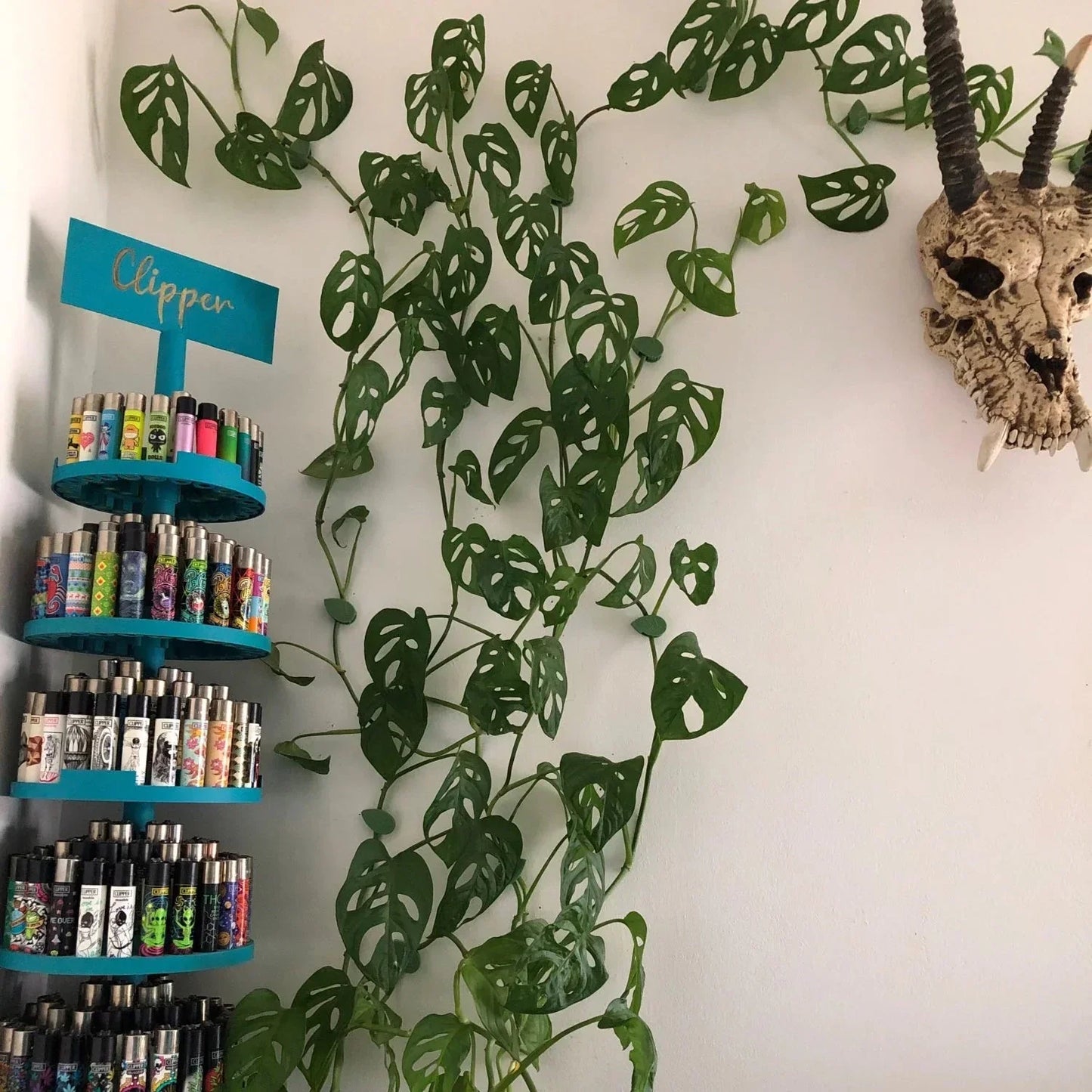 Augalų šakelių segtukai (50 vnt.)