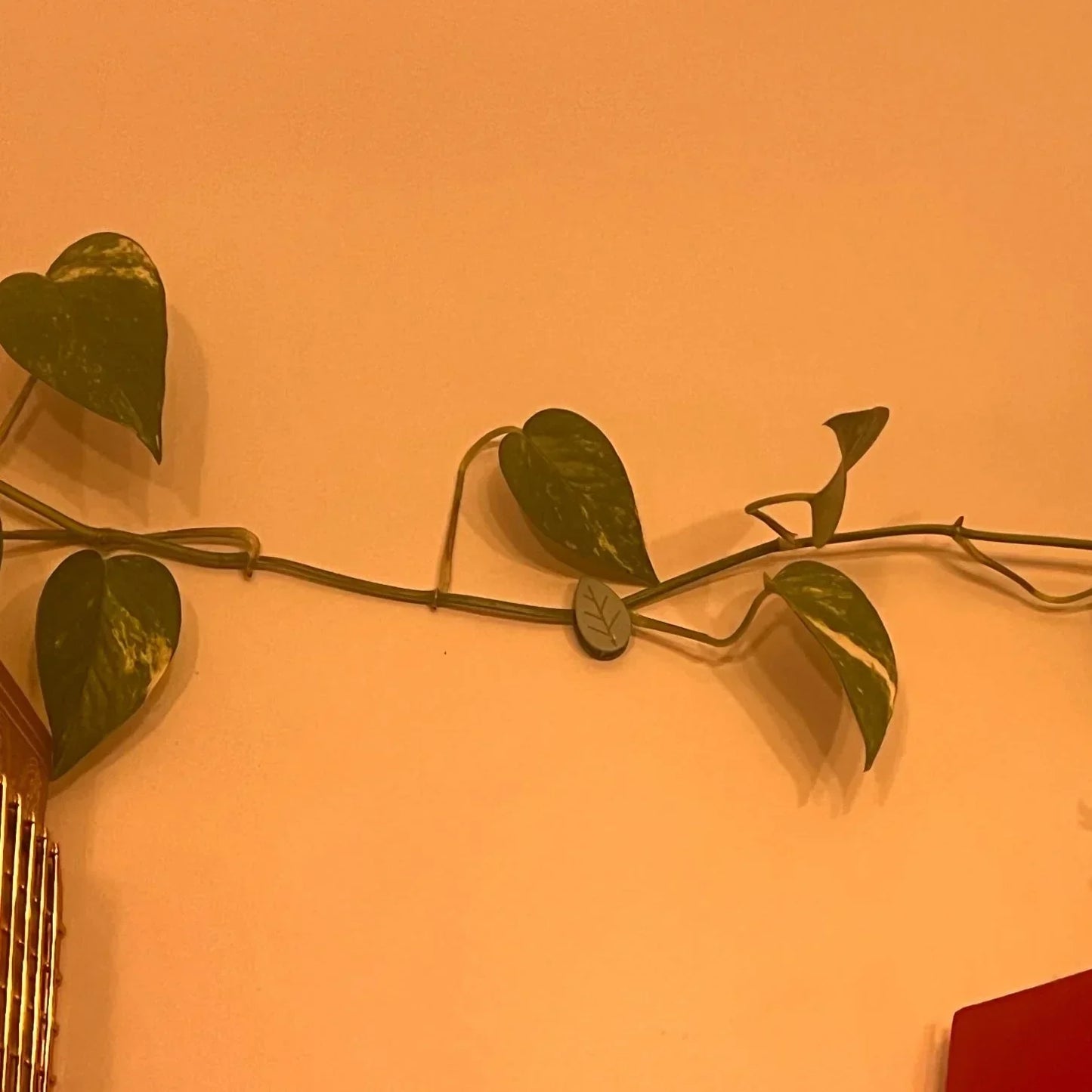 Augalų šakelių segtukai (50 vnt.)