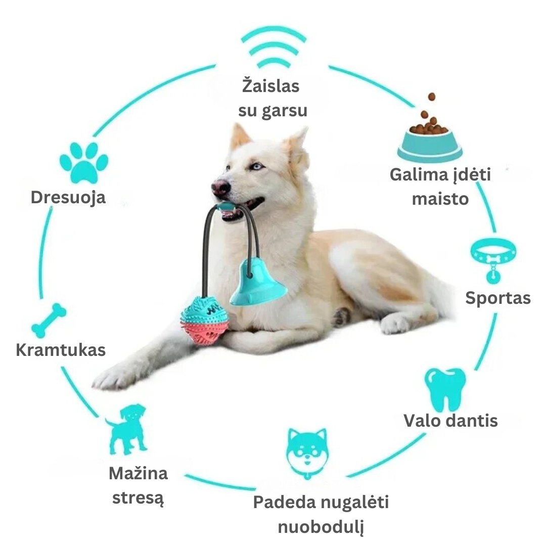 Tamprus žaislas šunims