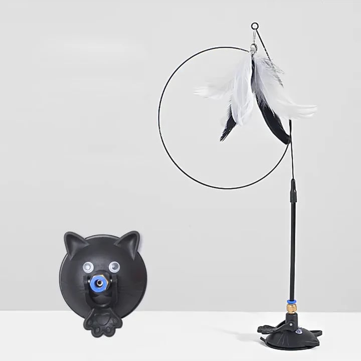 Kačių žaislas su plunksna
