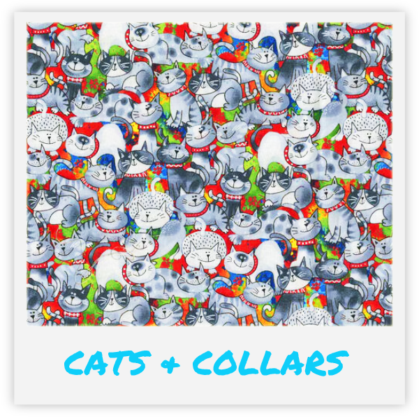 Kačių žaislas su katžole viduje