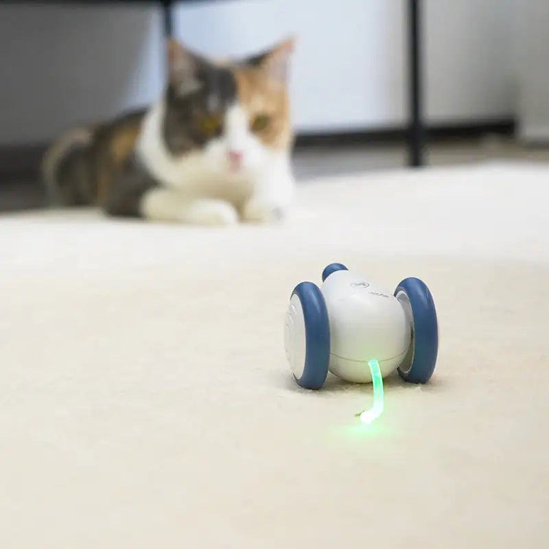 \RolCat\" - POPULIARIAUSIAS KAČIŲ ŽAISLAS 2024 🌟"