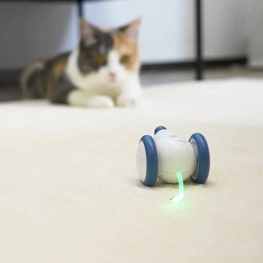 \RolCat\" - POPULIARIAUSIAS KAČIŲ ŽAISLAS 2024 🌟"