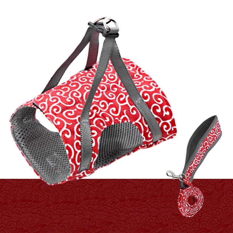 Kačių petnešų ir pavadėlio rinkinys