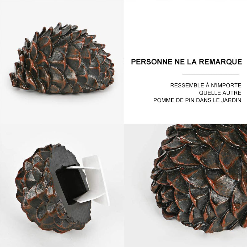 Slapta raktų dėžutė