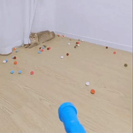 Pliušinių kamuoliukų žaislas katėms