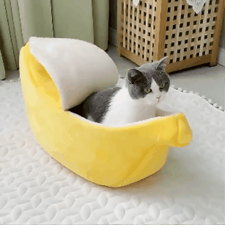 Banano formos guolis gyvūnams