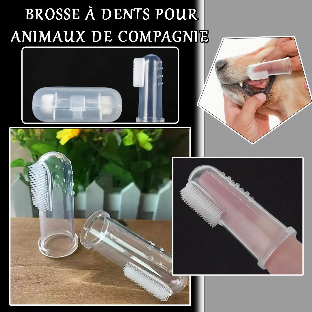 Silikoninis dantų šepetėlis - antpirštis augintiniams