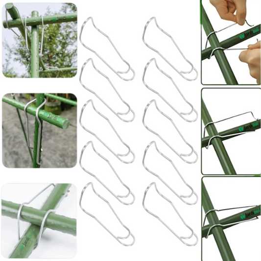 Augalų jungčių kilpos