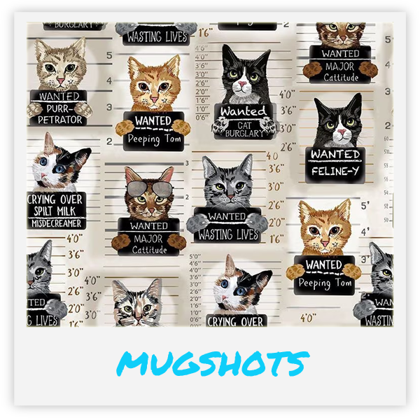 Kačių žaislas su katžole viduje