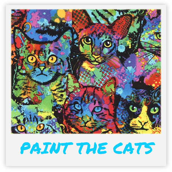 Kačių žaislas su katžole viduje