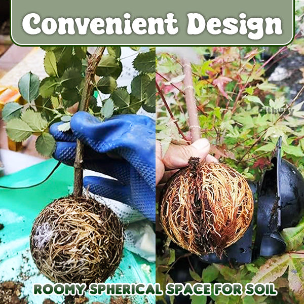 Specialus augalų įsišaknijimo kamuolys