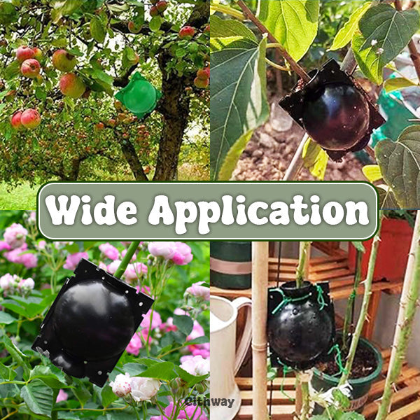 Specialus augalų įsišaknijimo kamuolys