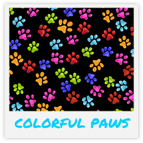 Kačių žaislas su katžole viduje