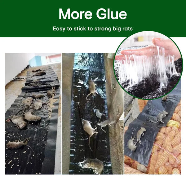 Lipnus kilimėlis pelėms gaudyti