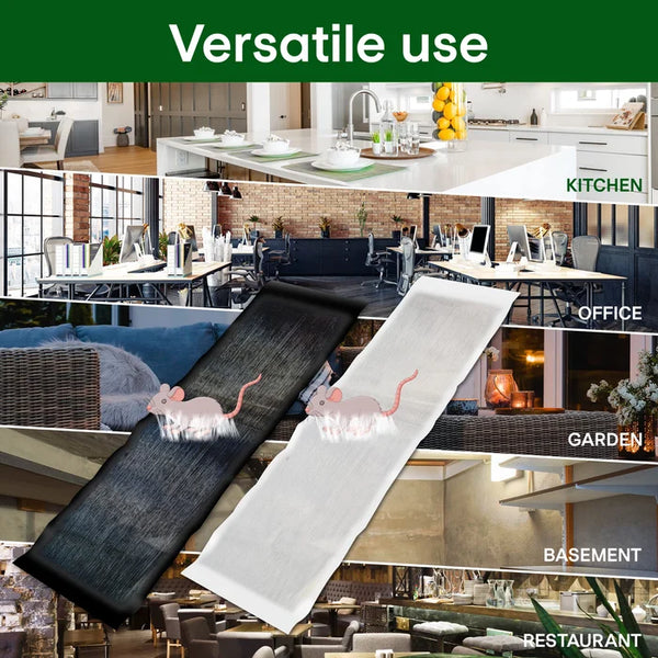 Lipnus kilimėlis pelėms gaudyti